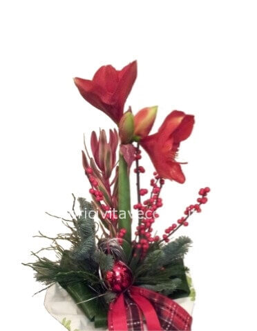 Mazzo di fiori natalizio